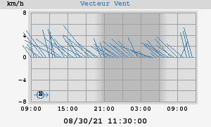 Wind Vector