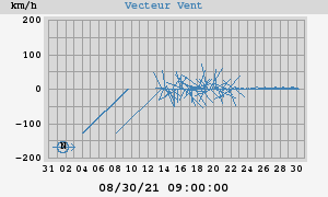 Wind Vector