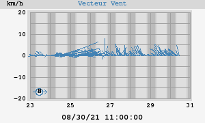 Wind Vector