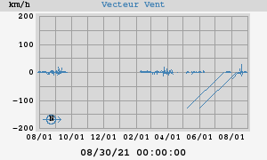 Wind Vector